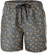 zwemshort haupe grijs