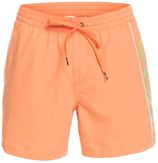 Zwemshort Everyday Vert 16"