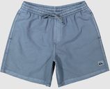 Zwemshort Everyday Surfwash 17"