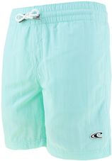 Jongens vert zwemshort blauw III