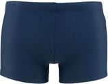 Zwemboxer atlanta logo blauw