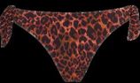 Jungle diva butterfly bikini tanga | brown and dark orange