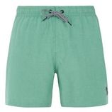 Zwemshort DAVEY groen