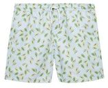 Zwemshort lichtblauw/groen