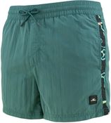 Vert zwemshort retro groen