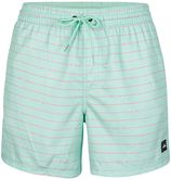 Zwemshort first 15 striped terms lichtblauw